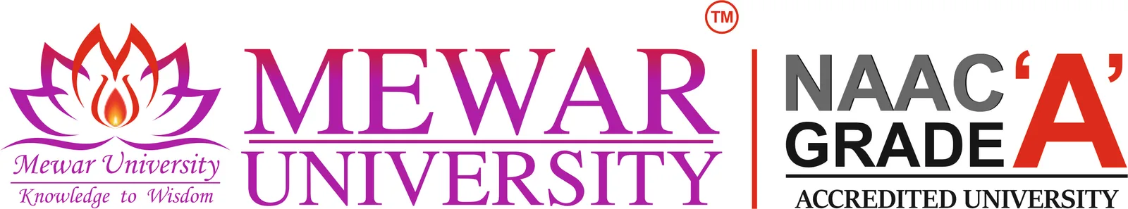 Mewar University
